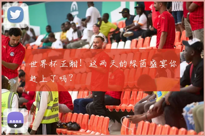 世界杯正酣!这两天的绿茵盛宴你赶上了吗?