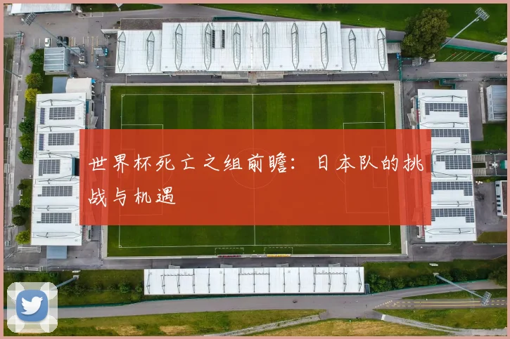 世界杯死亡之组前瞻:日本队的挑战与机遇