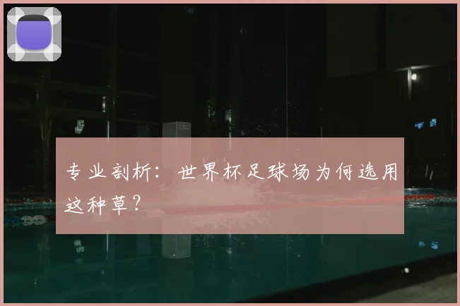 专业剖析:世界杯足球场为何选用这种草?