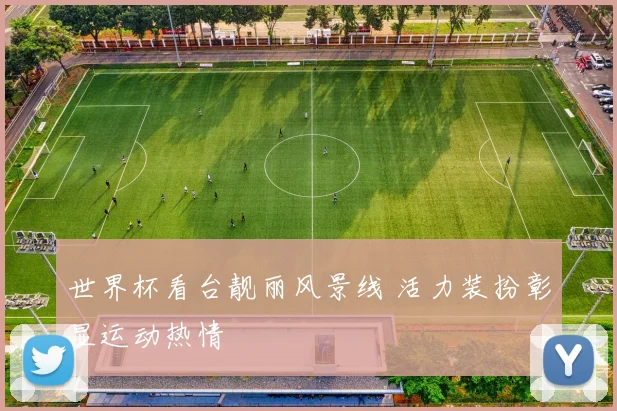 世界杯看台靓丽风景线 活力装扮彰显运动热情