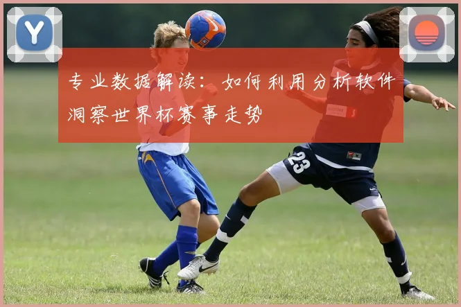 专业数据解读：如何利用分析软件洞察世界杯赛事走势