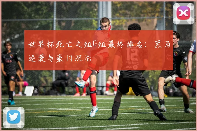 世界杯死亡之组G组最终排名：黑马逆袭与豪门沉沦