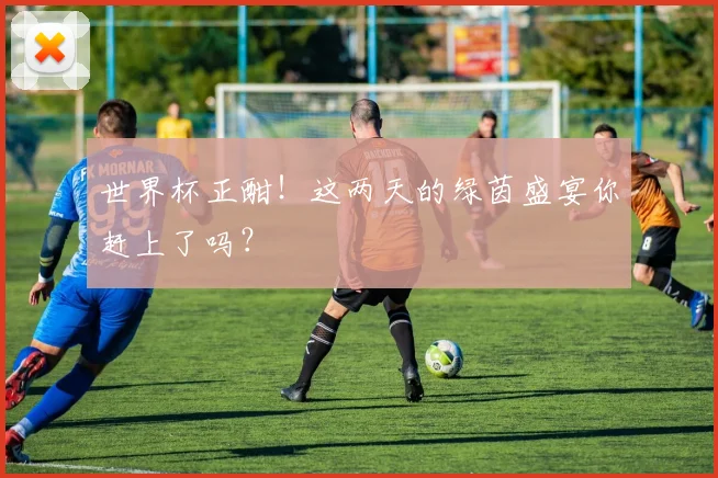 世界杯正酣!这两天的绿茵盛宴你赶上了吗?