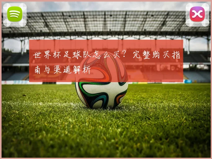 世界杯足球队怎么买?完整购买指南与渠道解析