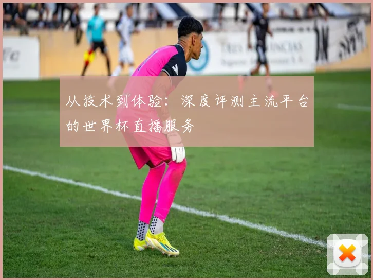 从技术到体验:深度评测主流平台的世界杯直播服务
