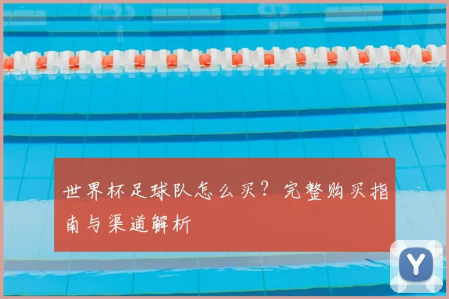 世界杯足球队怎么买?完整购买指南与渠道解析