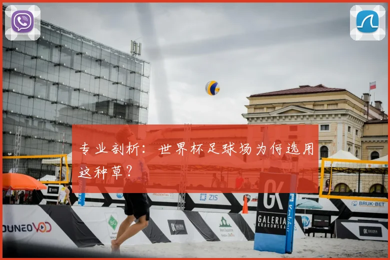 专业剖析:世界杯足球场为何选用这种草?