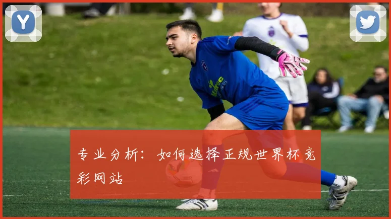 专业分析:如何选择正规世界杯竞彩网站
