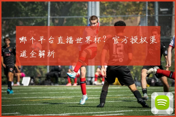 哪个平台直播世界杯？官方授权渠道全解析
